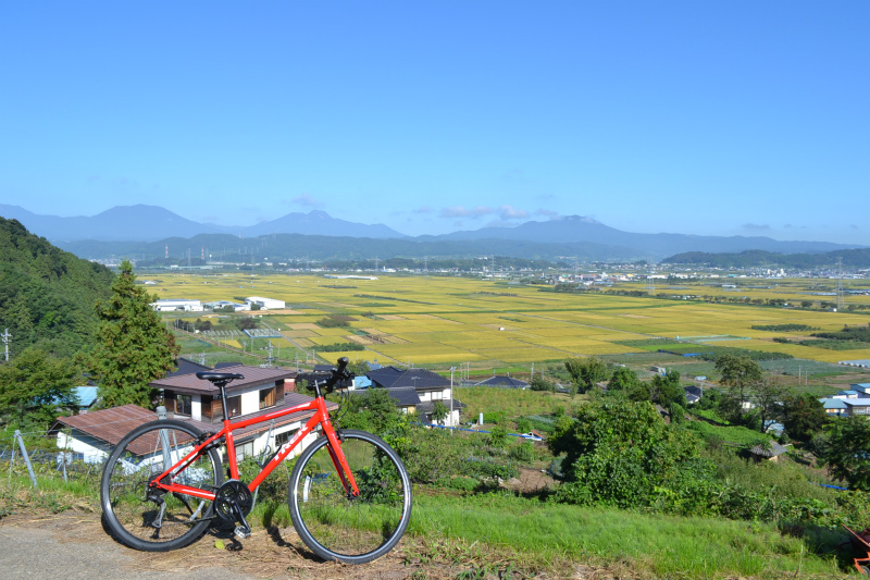 延徳田んぼを上から見る