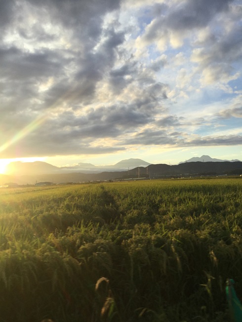 小布施でサイクリング夕方