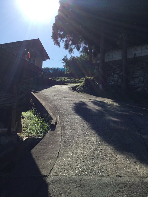 桜沢激坂エリア