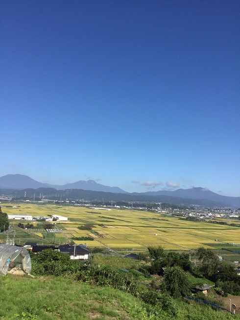 延徳田んぼを上から見る