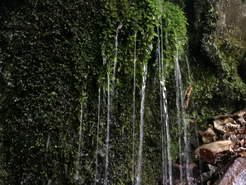 豊丘の穴水　