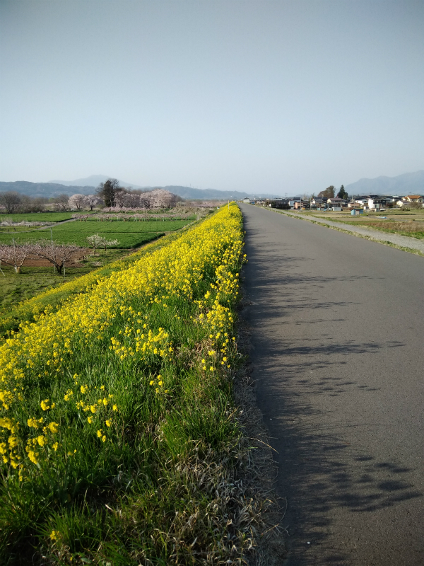 須坂村山千曲川サイクリングロード