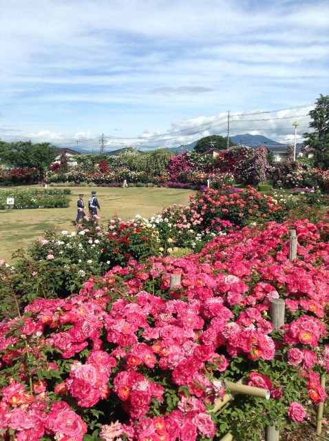 一本木公園