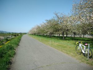 小布施堤防サイクリングロード