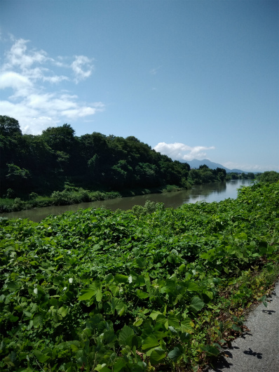 飯山千曲川