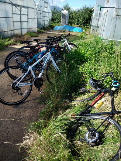 トマトハウス前のトレック自転車