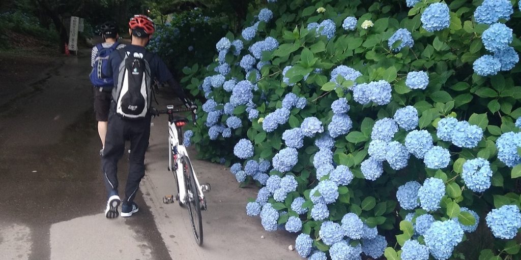 中野谷厳寺サイクリング