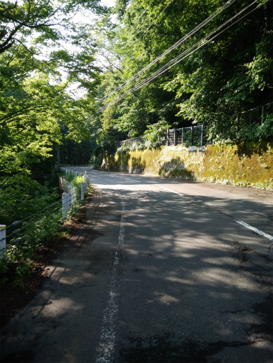 高山村気持ちいい森ゾーン