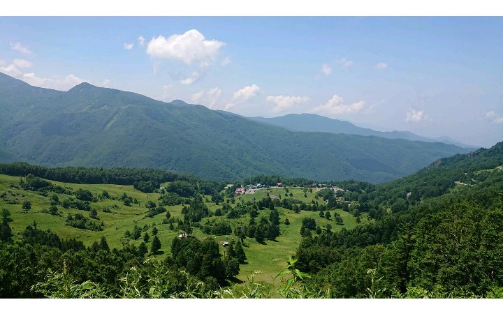 夏の山田牧場