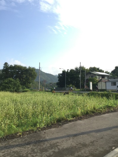 一茶館から高山大橋