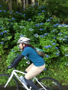 あじさいとクロスバイク女子