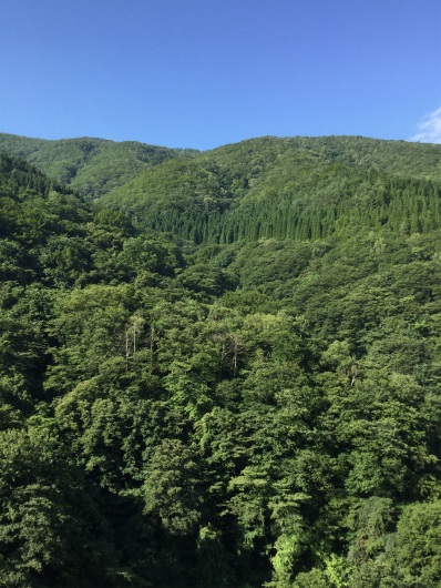 山田温泉から雷滝へ