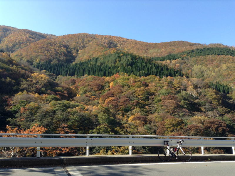 高山村松川渓谷紅葉