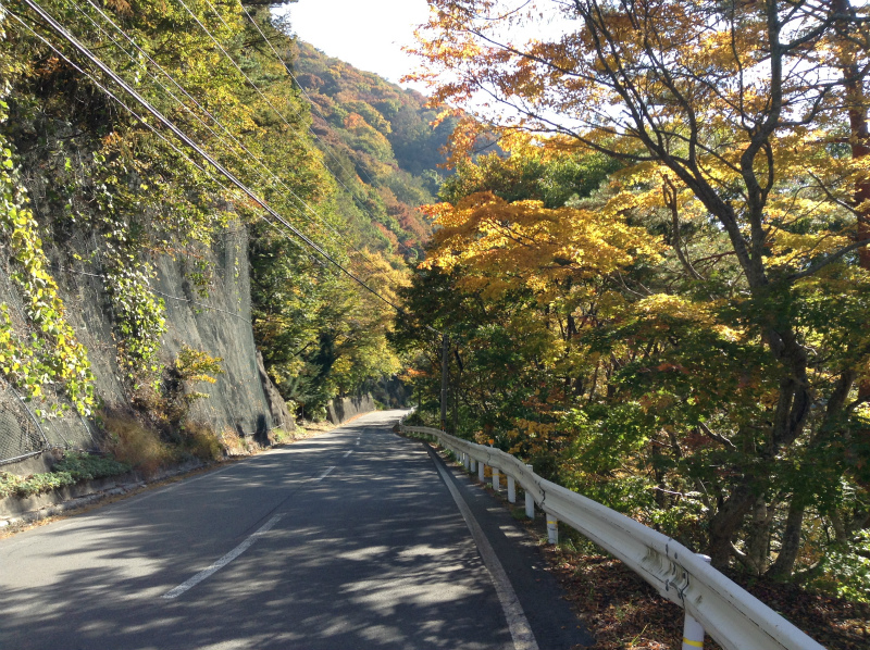 高山村松川渓谷紅葉