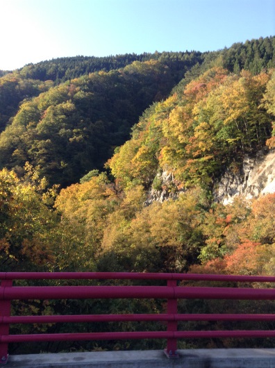 高山村紅葉