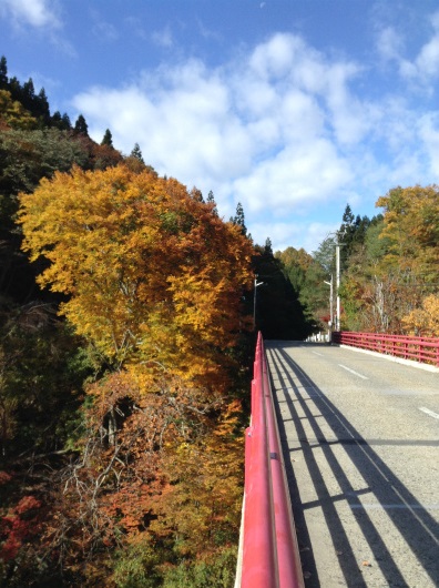 高山村紅葉