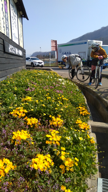 小布施の花壇