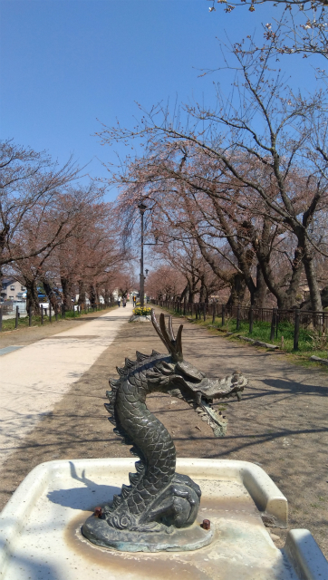 臥竜公園の龍