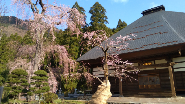 須坂長妙寺