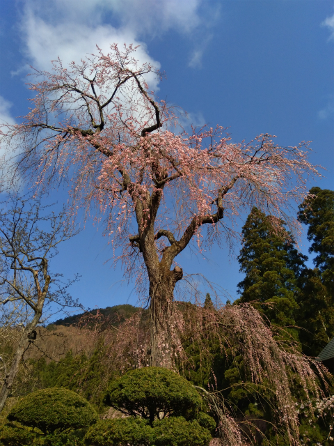 長妙寺