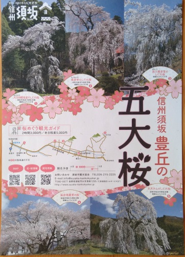 須坂豊丘の五大桜