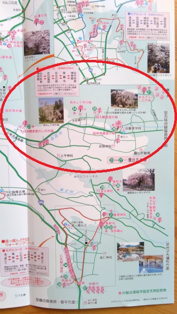 須坂豊丘五大桜地図