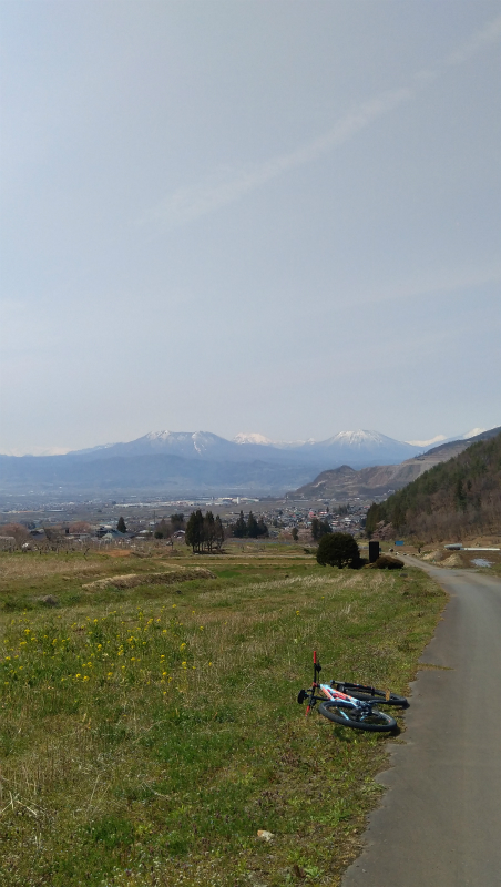 赤和観音の枝垂れ桜からの帰り道