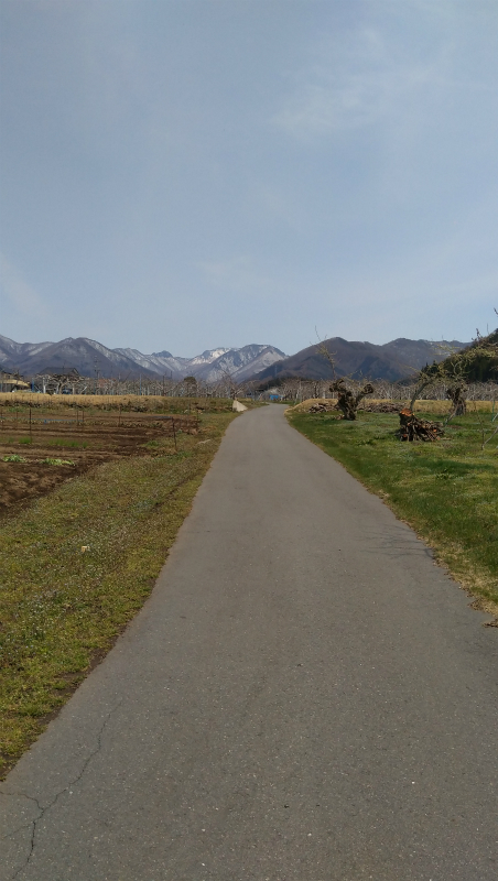 高山村の道路