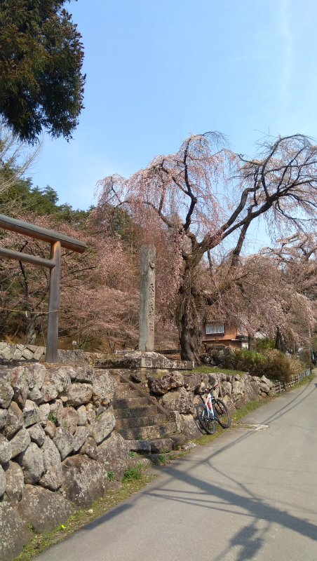 天照大神社