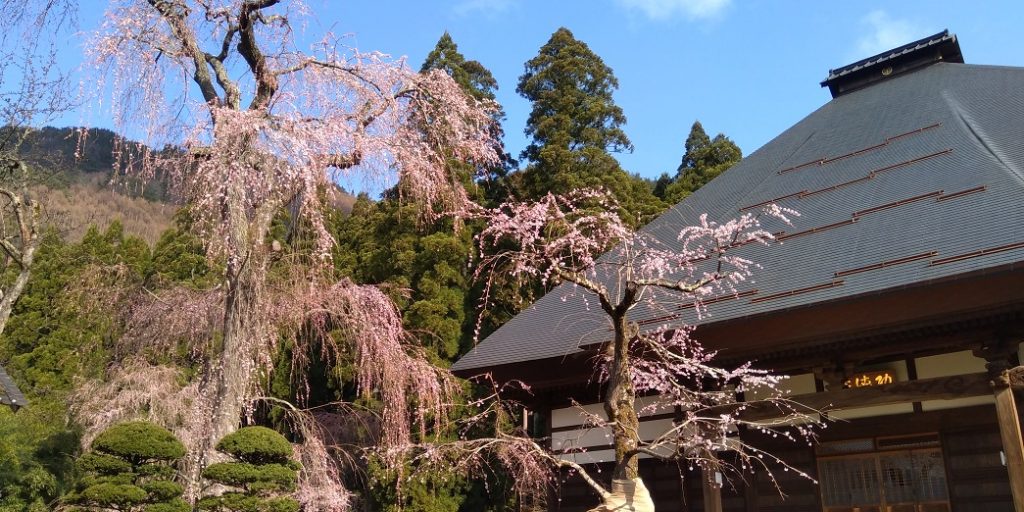 須坂豊丘の五大桜めぐり