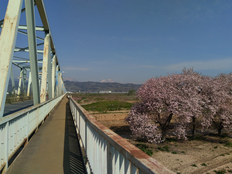 小布施橋5月