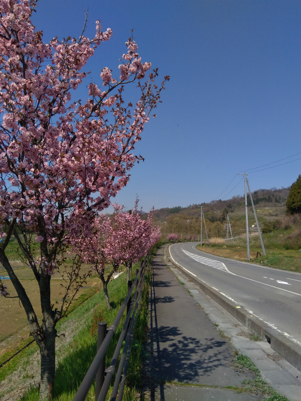 北信五岳道路