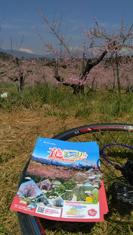 飯綱町花まつりのパンプレット