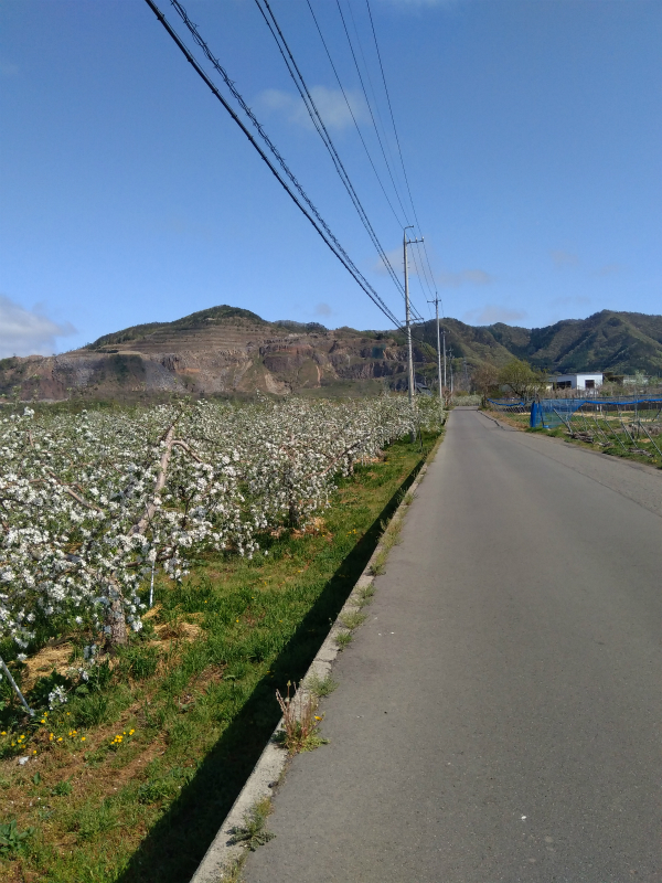 リンゴ畑サイクリング高山村