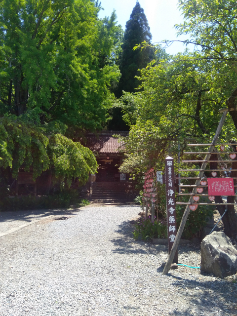 5月の浄光寺