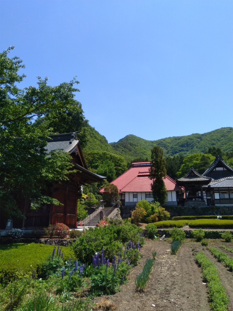 5月の岩松院