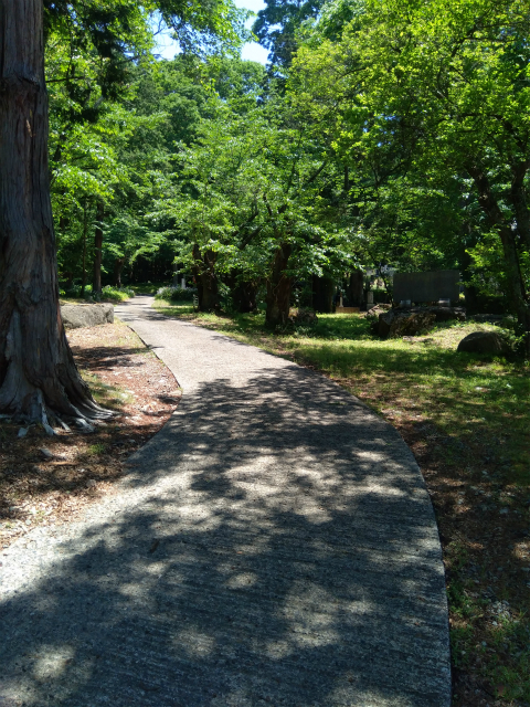 岩松院横の道