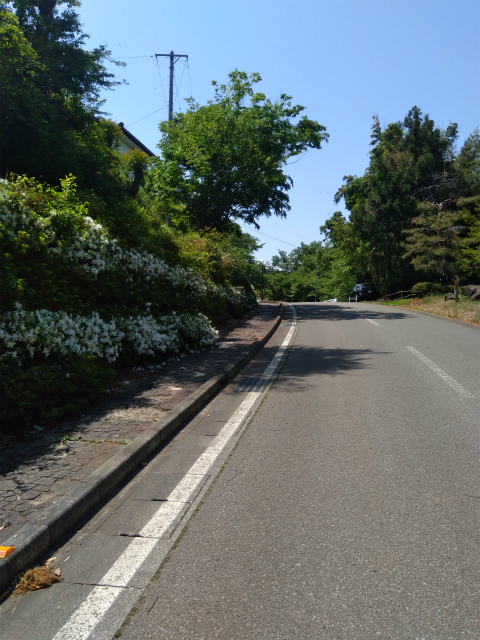 中野市東山