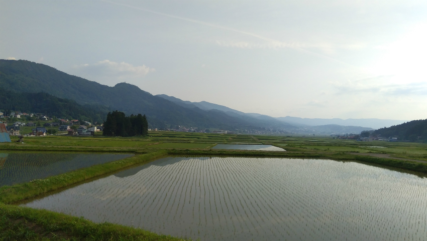 飯山の田んぼ