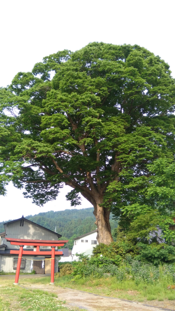 加保土神社