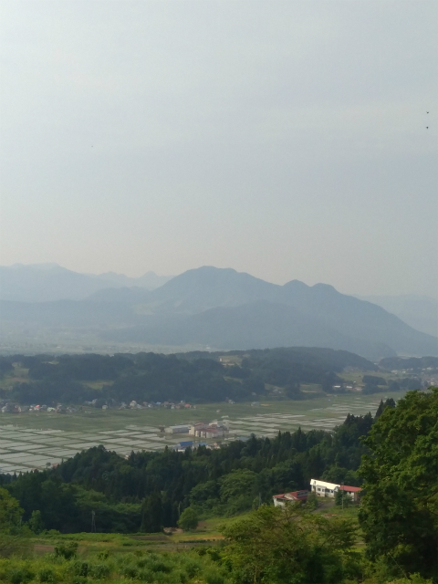 信濃平スキー場から田んぼの景色