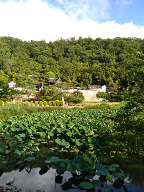 大雲寺