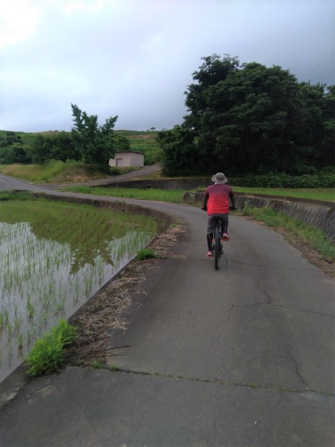 田んぼ道を行く