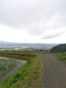 すこし上がっても綺麗な景色