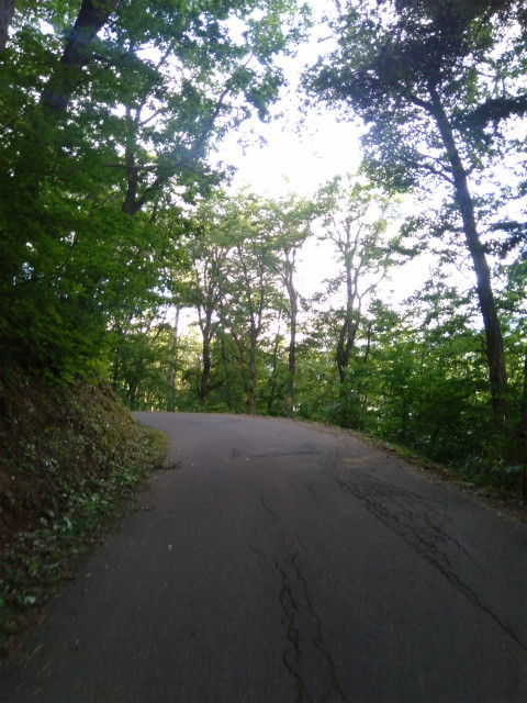 野尻湖周遊道路坂道