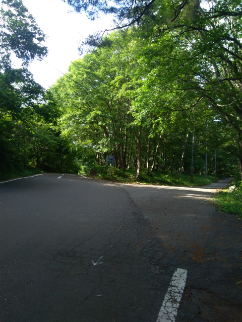 野尻湖周遊道路