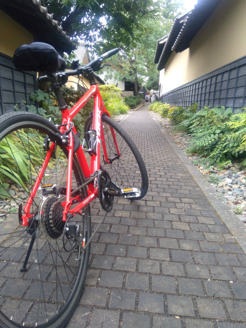 栗の小径と自転車