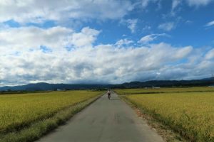 小布施延徳田んぼでサイクリング