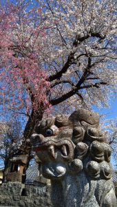 新生病院裏側の祠