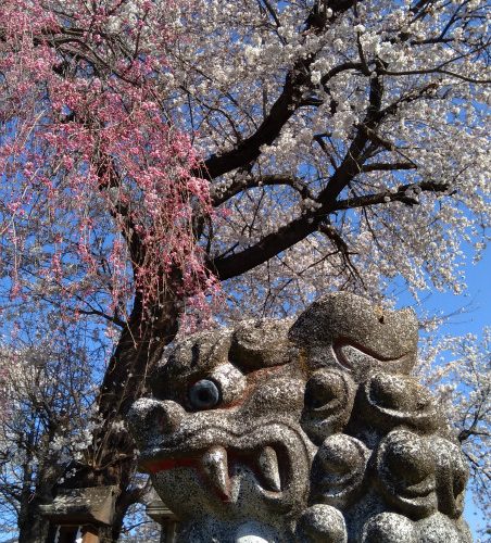 新生病院裏側の祠